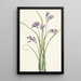 Clusterlily Hookera pauciflora - Mary Vaux Walcott — gerahmtes Bild an der Wand
