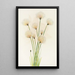 Linaigrette Eriophorum chamissonis - Mary Vaux Walcott — gerahmtes Bild an der Wand