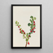 Johannisbeere unvollendet - Mary Vaux Walcott — gerahmtes Bild an der Wand