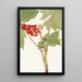 Devilsclub Echinopanax horridum - Mary Vaux Walcott — gerahmtes Bild an der Wand