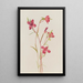 Adieu au printemps Godetia amoena lilja - Mary Vaux Walcott — gerahmtes Bild an der Wand