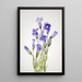 Gentiane frangée Gentiana elegana - Mary Vaux Walcott — gerahmtes Bild an der Wand