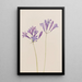 Noix d'herbe Brodiaea laxa - Mary Vaux Walcott — gerahmtes Bild an der Wand