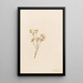 Airelle des bois Vaccinum scoparium - Mary Vaux Walcott — gerahmtes Bild an der Wand