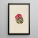 Kaktus Igel Coryphantha arizonica - Mary Vaux Walcott — gerahmtes Bild an der Wand