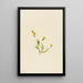 Hieracium gracile - Mary Vaux Walcott — gerahmtes Bild an der Wand