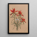Castilléjie Castilleja rhexifolia - Mary Vaux Walcott — gerahmtes Bild an der Wand