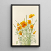 Mohn aus Mexiko Eschscholtzia mexicana - Mary Vaux Walcott — gerahmtes Bild an der Wand