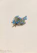 Myosotis der Moose Eritrichum elongatum - Mary Vaux Walcott — Ansicht des Kunstwerks