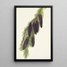 Pruche des montagnes Psuga mertensiana - Mary Vaux Walcott — gerahmtes Bild an der Wand