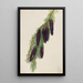 Pruche des montagnes Tsuga mertensiana - Mary Vaux Walcott — gerahmtes Bild an der Wand