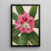 Rhododendron der Berge Rhododendron catawbiense - Mary Vaux Walcott — gerahmtes Bild an der Wand