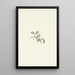 "Compagnon penché Lychnis apetala" - Mary Vaux Walcott — gerahmtes Bild an der Wand