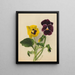 Gedanken 2 - Mary Vaux Walcott — gerahmtes Bild an der Wand