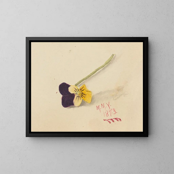 Gedanken - Mary Vaux Walcott — gerahmtes Bild an der Wand