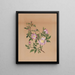 Rose mauve Hibiscus moscheutos - Mary Vaux Walcott — gerahmtes Bild an der Wand