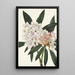 Rhododendron Rosebay Rhododendron maximum - Mary Vaux Walcott — gerahmtes Bild an der Wand
