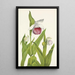 Sabot de la Vierge Cypripedium reginae - Mary Vaux Walcott — gerahmtes Bild an der Wand
