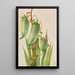 Baïonnette espagnole Yucca baccata - Mary Vaux Walcott — gerahmtes Bild an der Wand
