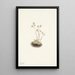 Saxifrage tachetée Saxifraga bronchialis - Mary Vaux Walcott — gerahmtes Bild an der Wand
