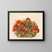 Studie der Pilze - Mary Vaux Walcott — gerahmtes Bild an der Wand