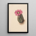 Kaktus Truthahnkopf Echinocerus perbellus - Mary Vaux Walcott — gerahmtes Bild an der Wand
