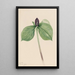 Trille sessile - Mary Vaux Walcott — gerahmtes Bild an der Wand