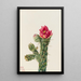 Cholla Bâton de marche - Mary Vaux Walcott — gerahmtes Bild an der Wand