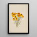 Zinnia Zinnia grandiflora - Mary Vaux Walcott — gerahmtes Bild an der Wand