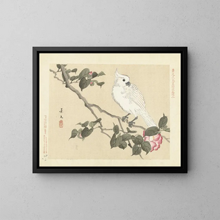 Matsumura Keibun - Camellia and yellowcrested cockatoo.webp