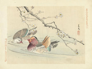 Matsumura Keibun - Plum and mandarin duck.webp