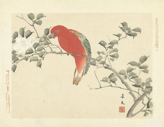 Matsumura Keibun - Sasanqua camellia and chattering lory parrot.webp