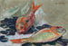 Doraden und Muscheln - Maurice Denis — Ansicht des Kunstwerks