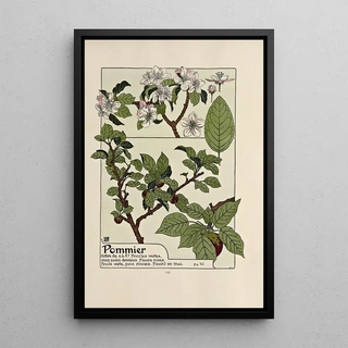 Maurice Pillard Verneuil - Pommier.webp