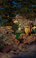 Die Eichen - Maxfield Parrish — Ansicht des Kunstwerks