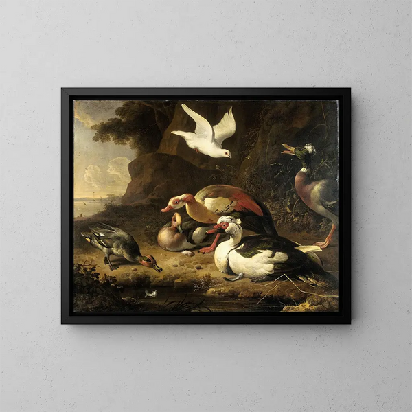 Enten - Melchior d'Hondecoeter — gerahmtes Bild an der Wand