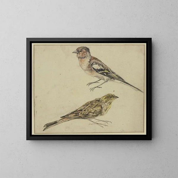 Ein Stieglitz und ein Fink - Melchior d'Hondecoeter — gerahmtes Bild an der Wand