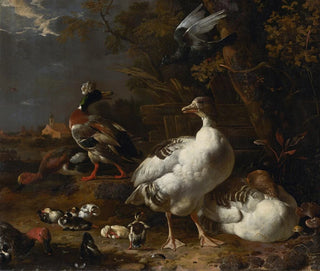 Gänse und Enten - Melchior d'Hondecoeter — Ansicht des Kunstwerks