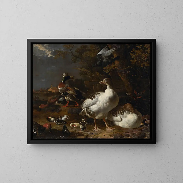 Gänse und Enten - Melchior d'Hondecoeter — gerahmtes Bild an der Wand