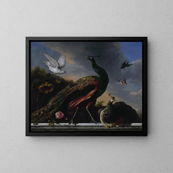 Pfauen männlich und weiblich - Melchior d'Hondecoeter — gerahmtes Bild an der Wand