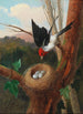 Vogel in der Nähe seines Nests - Michelangelo Meucci — Ansicht des Kunstwerks