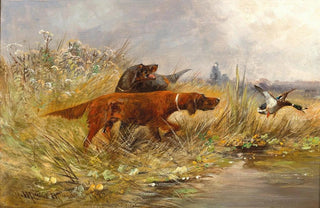 Moritz Mller - A Duck Hunt.webp