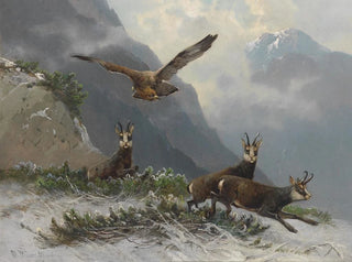 Chamois dans les hautes montagnes - Moritz Müller — Ansicht des Kunstwerks
