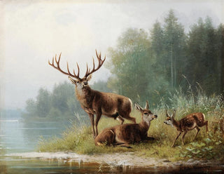 Moritz Mller - Stag at a Lake.webp