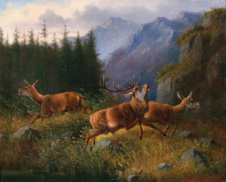 Moritz Mller - Stags in the Mountains.webp