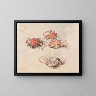 Myles Birket Foster - Studies of Spider Crabs Venice.webp