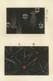 Shin zuan Pl 14 - Nakayasu Shinzaburō — Ansicht des Kunstwerks