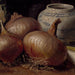 Stillleben mit Zwiebeln - Eugène Jansson — Ansicht des Kunstwerks