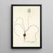 Anthericum filifolium - Nikolaus Joseph Freiherr von Jacquin — gerahmtes Bild an der Wand