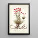 Dianthus sylvestris - Nikolaus Joseph Freiherr von Jacquin — gerahmtes Bild an der Wand
